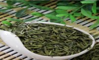 2024年《贵州绿茶卷曲形（特级）标准样》等12项